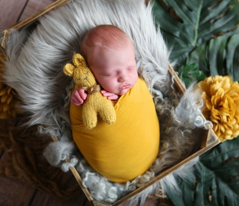 Lemon yellow themed newborn photo shoot in our studio using a variety of photo props by Jayne Poole, North Devon, Barnstaple, Bideford, Crediton, Okehampton, South Molton, Croyde, Newborn Photography Near Me,