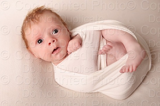 Copp Newborn