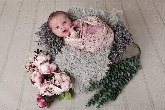 Golombeck-Butt Newborn