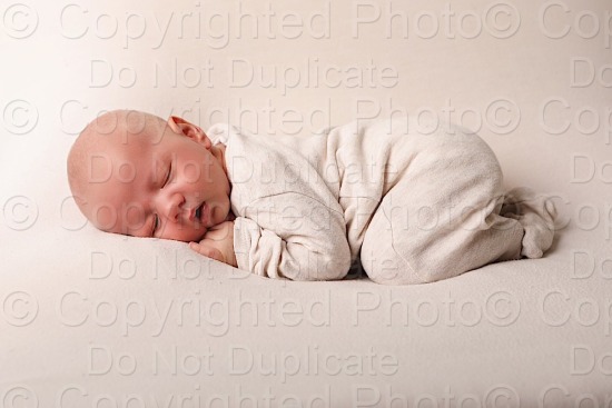 Birch Newborn