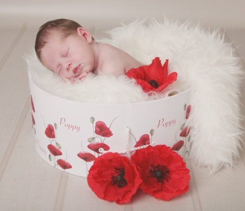 Newborn baby within a Poppy printed box by Jayne Poole