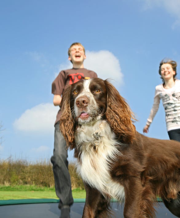 Locatin photo shoots can be such fun if you bring along your pet as well, and capture the moments with your photographer Jayne Poole