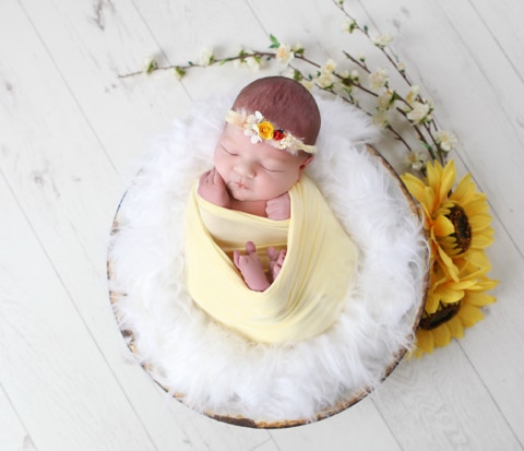 Newborn baby photography by Jayne Poole Sunflowers, Ladybird, petals, yellow, lemon cute newborn image photography loacted in Great Torrington near Bideford, Barnstaple, Rounddswell, Fremington, Bickington, Pilton, South Molton, Braunton, Croyde, Northam, Woolacombe, Clovelly, Bude, Holsworthy, Okehamton, and Crediton